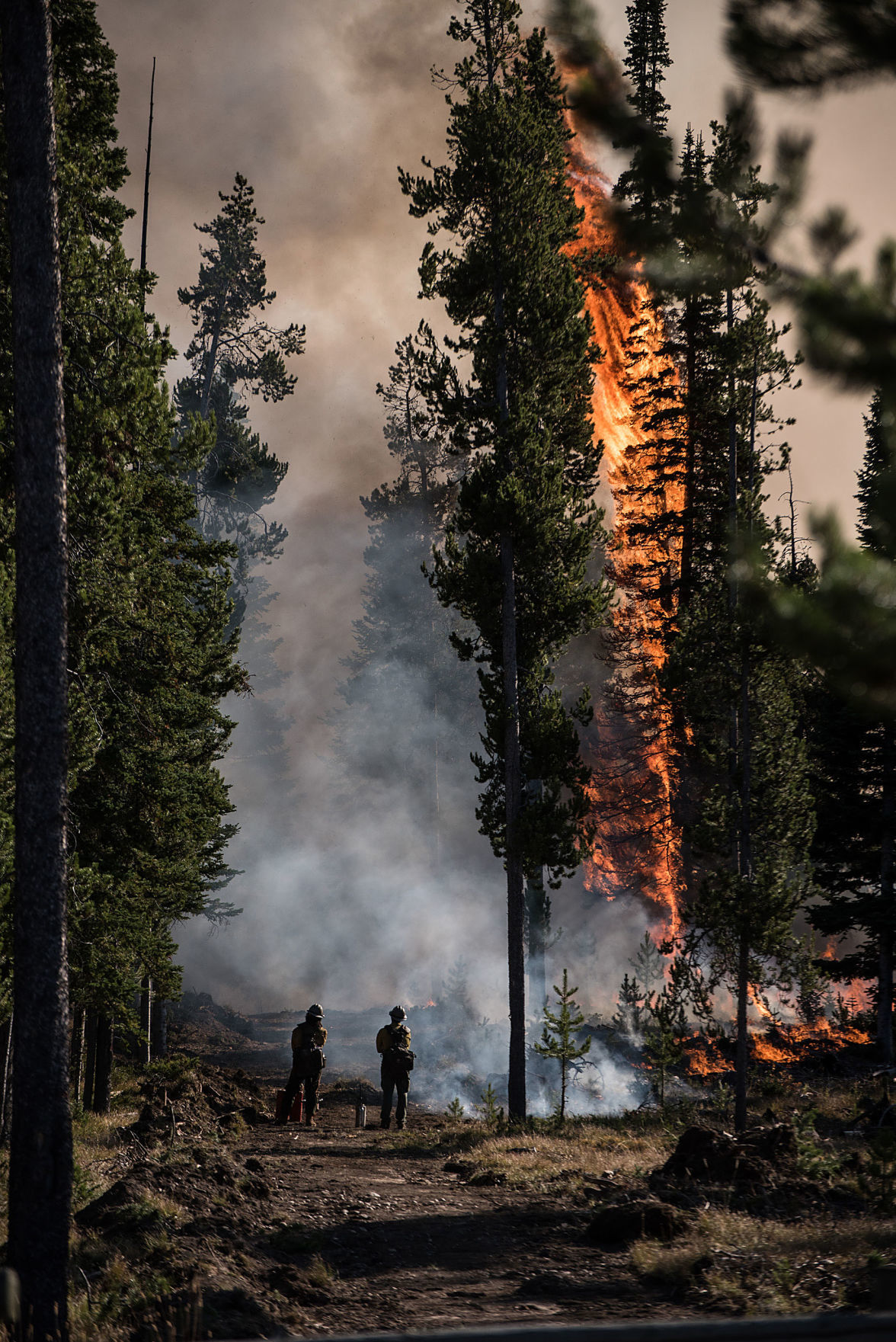 Roosevelt Fire